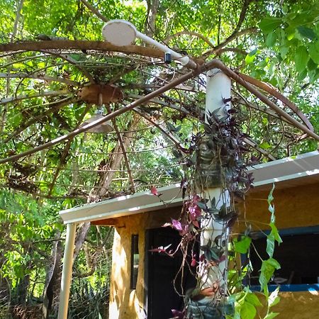 A Casinha Do Forneiro Villa Bonito  Eksteriør billede